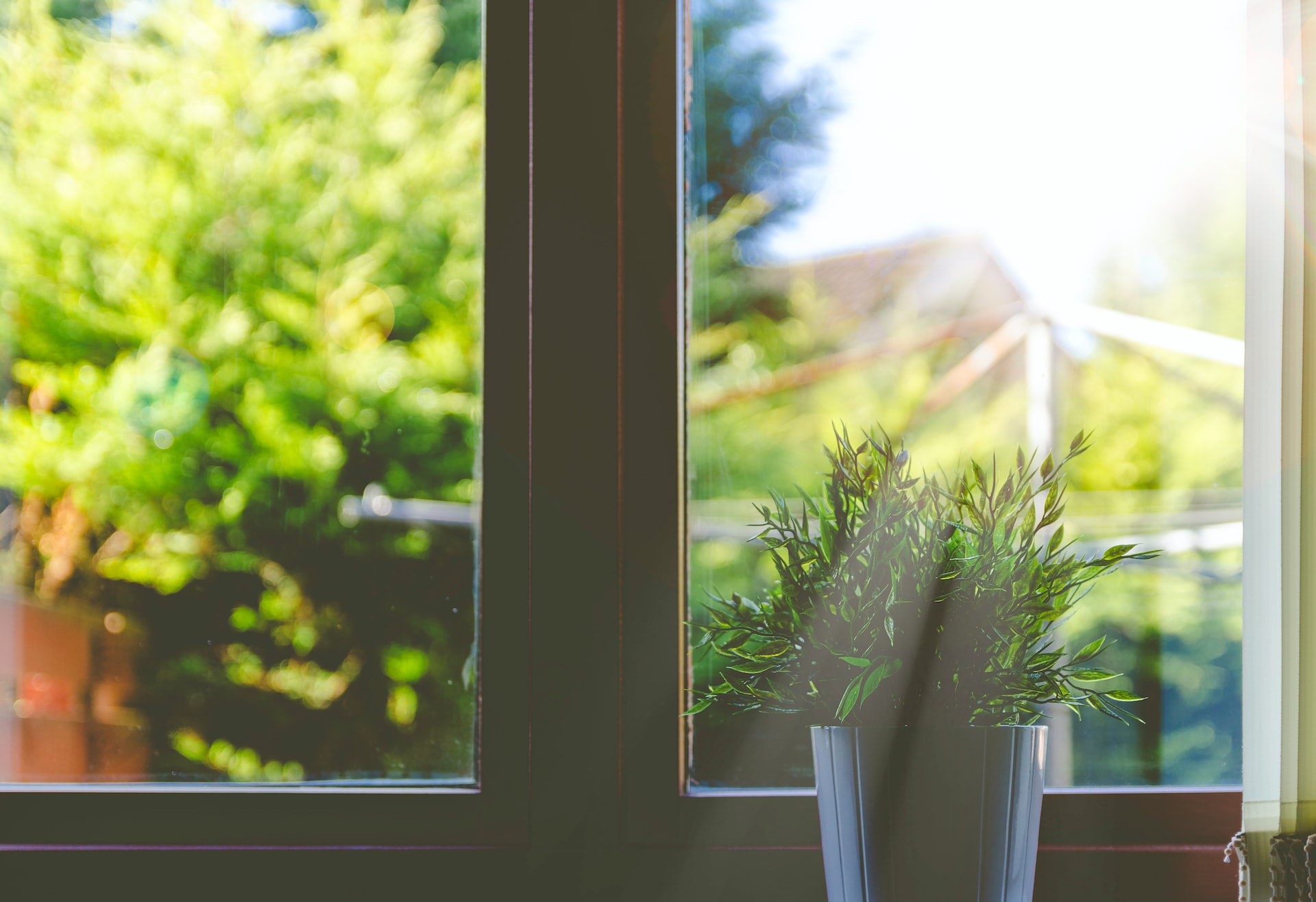 What to Look for When Choosing a Window Replacement