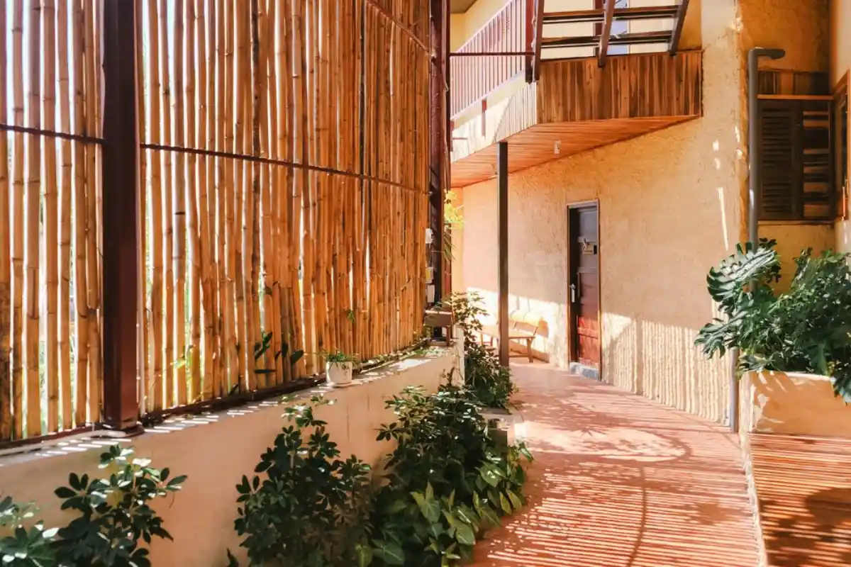 backyard featuring creative landscaping solutions for enhanced outdoor privacy